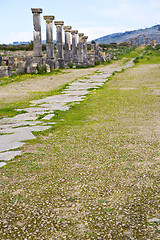 Image showing volubilis in africa the old  monument and site