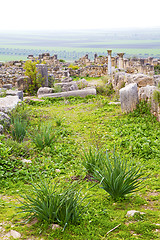 Image showing volubilis in morocco africa the old roman deteriorated monument 