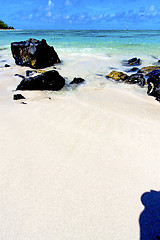 Image showing beach ile du cerfs seaweed in indian    sky and rock