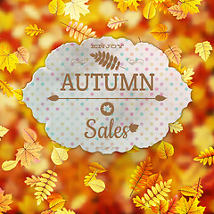 Image showing Autumn Sale template. EPS 10