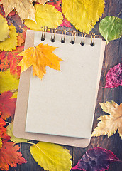 Image showing autumn background