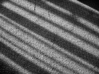 Image showing shadows on the carpet