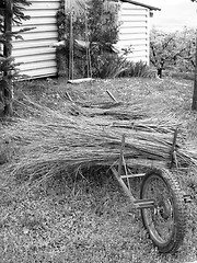 Image showing wheelbarrow