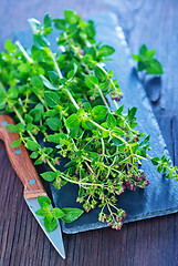 Image showing marjoram