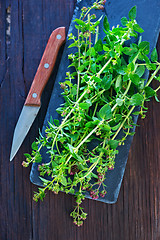 Image showing marjoram