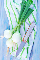 Image showing onion