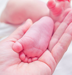 Image showing feets of newborn baby