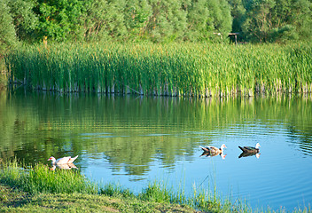 Image showing Lake