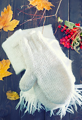 Image showing mittens and scarf