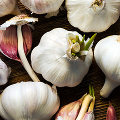 Image showing Garlic