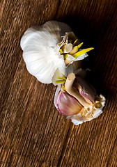 Image showing Garlic