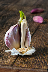 Image showing Garlic