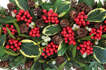 Image showing Holly and Mistletoe