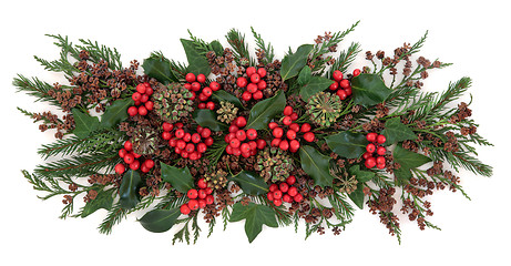 Image showing Traditional Winter Flora