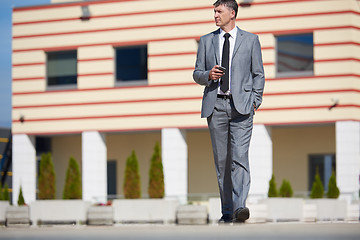 Image showing senior  businessman outdoors