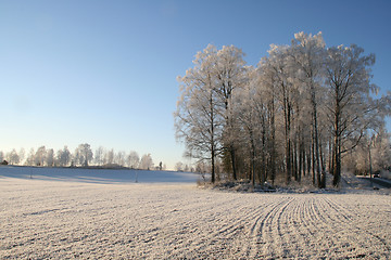 Image showing Winter