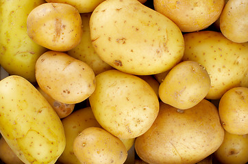 Image showing Yellow Potatoes Background