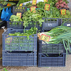 Image showing Leafy Vegetables