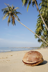 Image showing Coconut on Beach