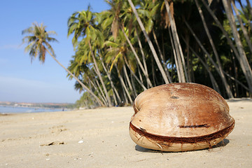 Image showing Coconut Beach