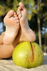 Image showing Coconut Feet