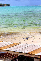 Image showing lagoon  beach seaweed in pier