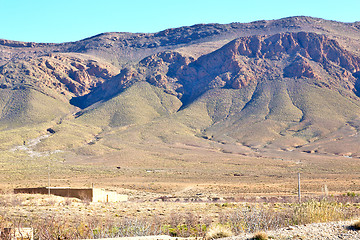 Image showing bush  in    valley  morocco     africa the atlas mountain  