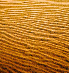 Image showing the brown sand dune in the sahara morocco desert 