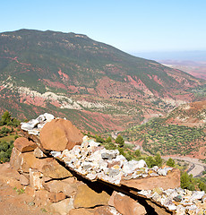 Image showing the    dades valley in atlas moroco africa ground tree  and nobo