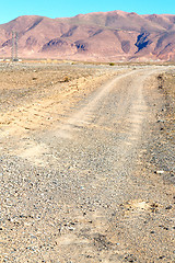 Image showing brown bush  in           africa the atlas  mountain  