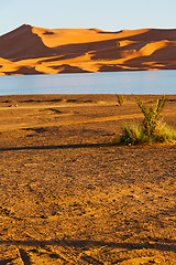 Image showing sunshine in the  yellow  desert   morocco sand       dune