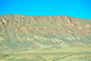 Image showing bush  in    valley  morocco     africa 