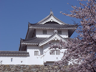 Image showing japanese castle in spring-time