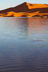 Image showing   in the lake yellow  desert   morocco sand and     dune