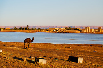 Image showing sunshine in the lake   desert  sand and     dune