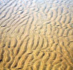 Image showing dune morocco in africa brown coastline wet sand beach near atlan