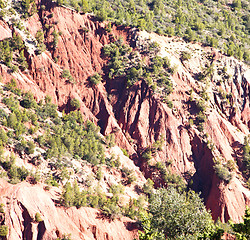 Image showing the    dades valley in atlas moroco africa ground tree  and nobo