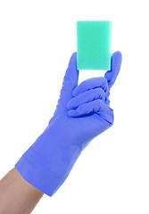 Image showing Mans hand in rubber glove with sponge isolated