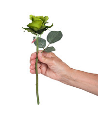 Image showing Old hand giving a rose