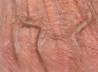 Image showing Hand of an old woman