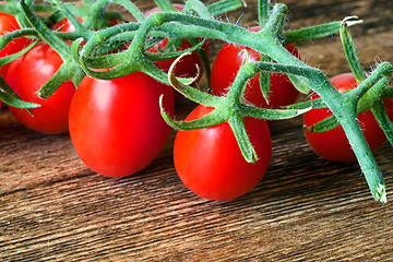 Image showing Tomato