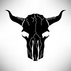Image showing Bull Skull