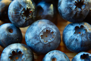 Image showing Freshly picked blueberries