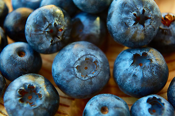 Image showing Freshly picked blueberries