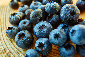Image showing Freshly picked blueberries