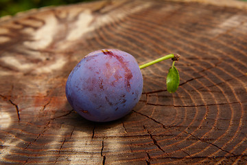 Image showing fresh plum on wooden table
