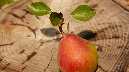 Image showing Fresh organic pear on old wood. 