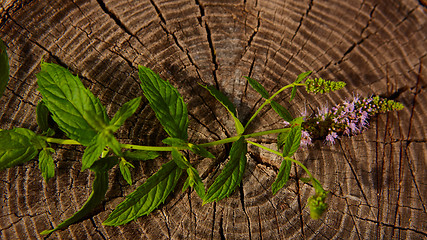 Image showing peppermint on wooden table