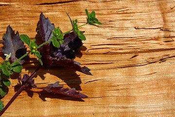 Image showing Red basil leaves on wooden background.