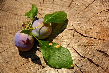 Image showing fresh plums on wooden table
